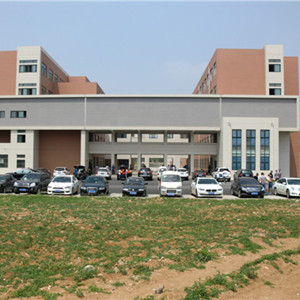 城建學(xué)院綠化項目開工